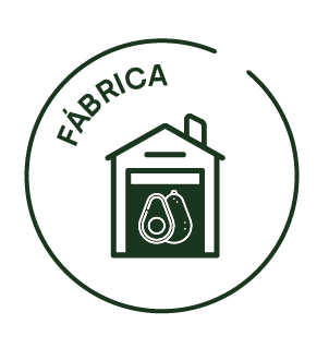 Fábrica de guacamole y pulpa de aguacate en Perú