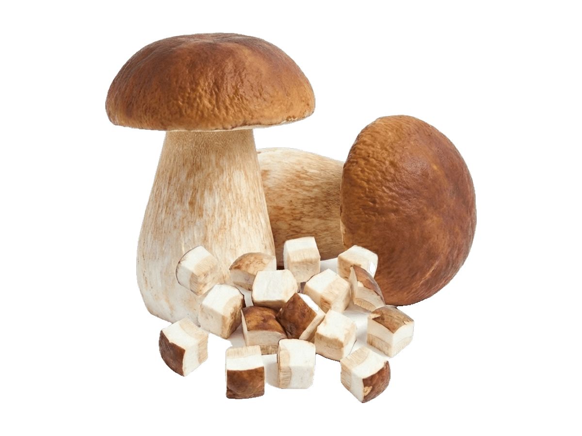Boletus edulis congelado