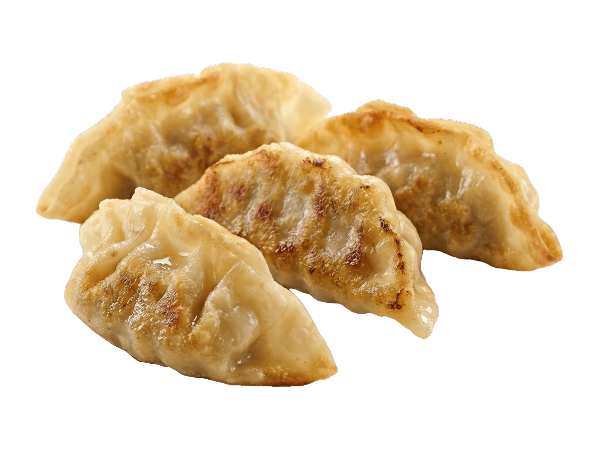Gyozas congeladas