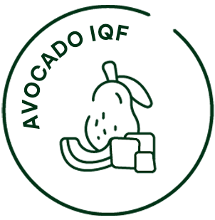 Aguacate IQF congelado