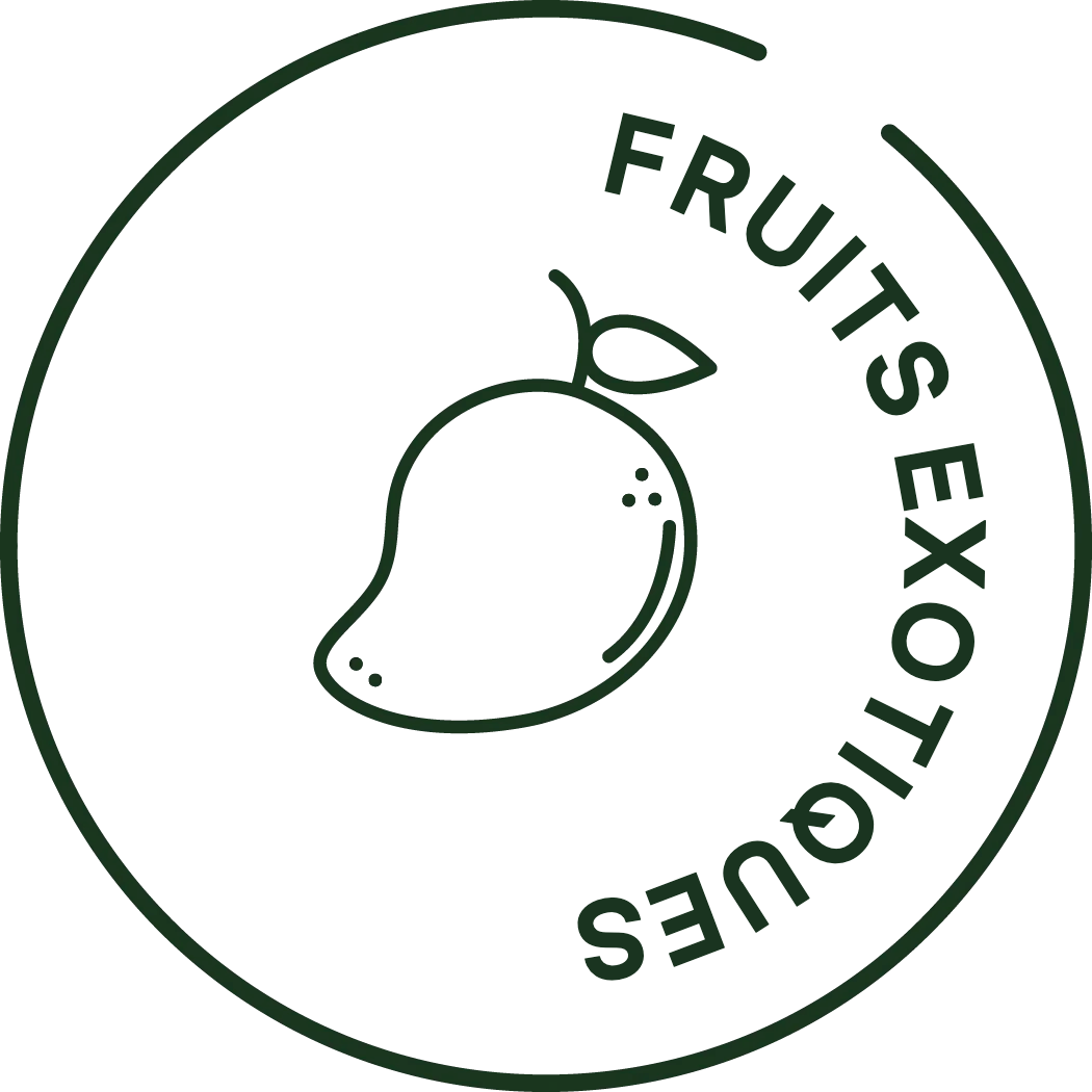 Icono de frutas tropicales congeladas
