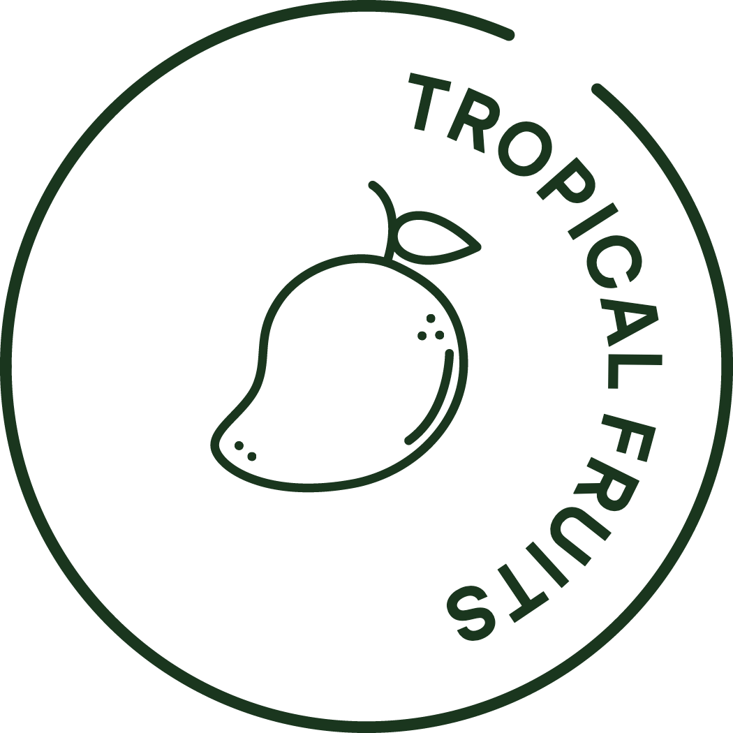Icono de frutas tropicales congeladas