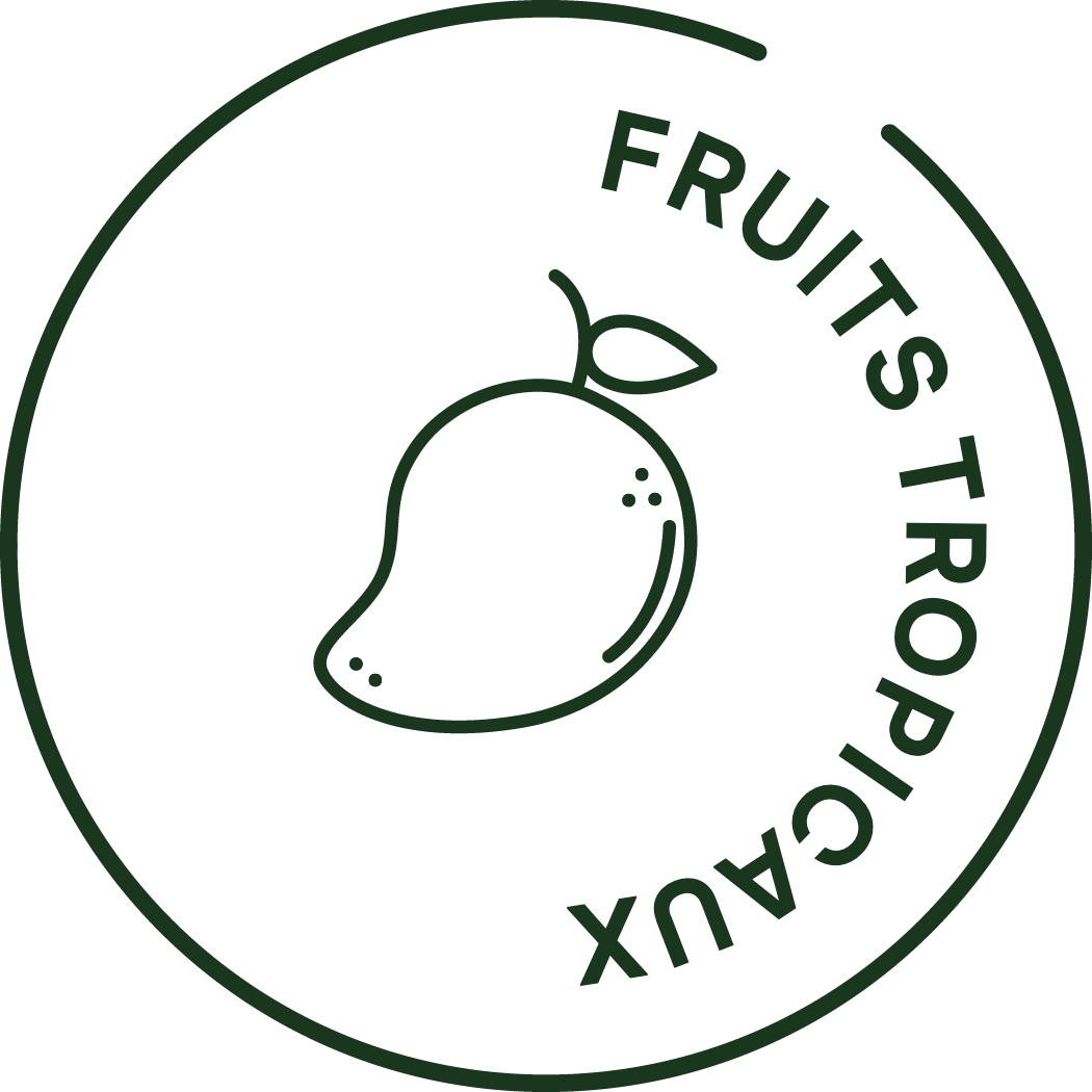 Icono de frutas tropicales congeladas